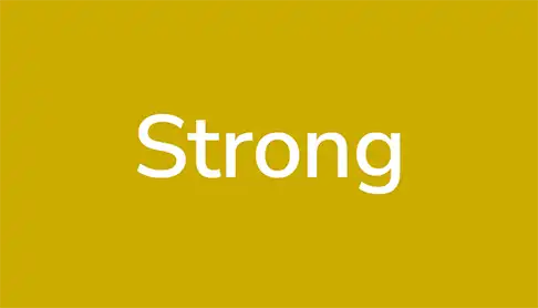 ScaleTec_Values_Strong_Hover_mobile